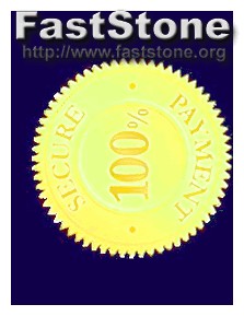 flexispy vs mobistealth